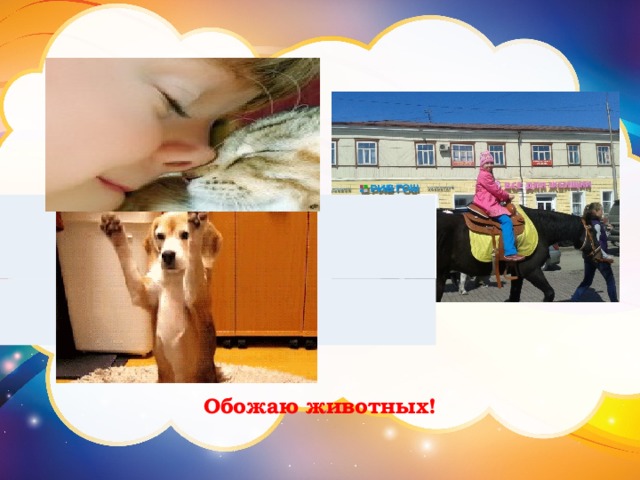 Обожаю животных! 
