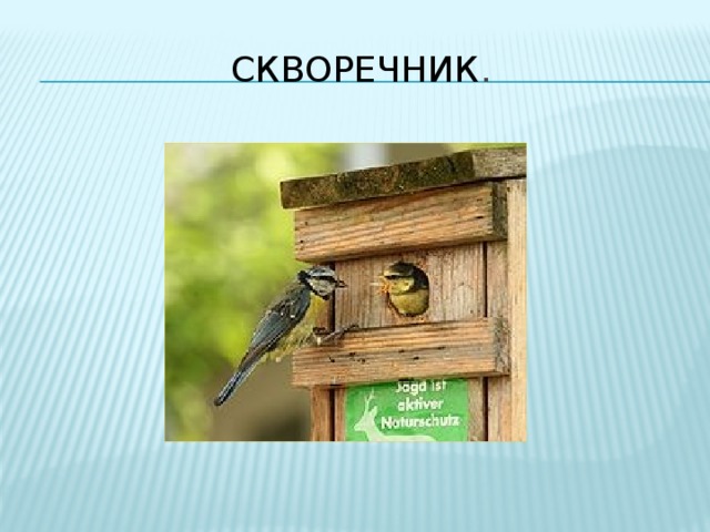 Скворечник . 