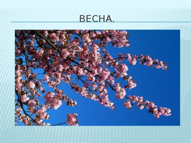 Весна. 