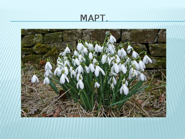 Март. 