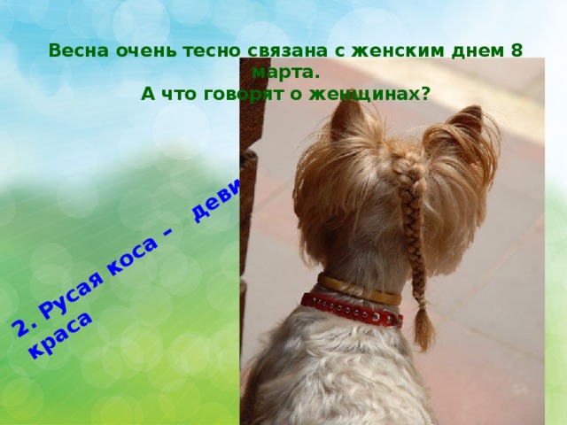 2. Русая коса – девичья краса Весна очень тесно связана с женским днем 8 марта.  А что говорят о женщинах? 