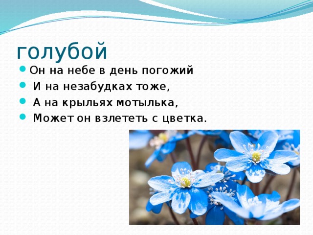 голубой Он на небе в день погожий  И на незабудках тоже,  А на крыльях мотылька,  Может он взлететь с цветка. 