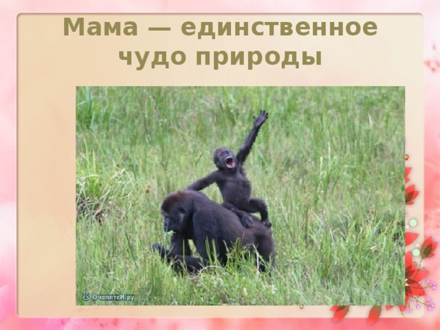 Мама — единственное чудо природы