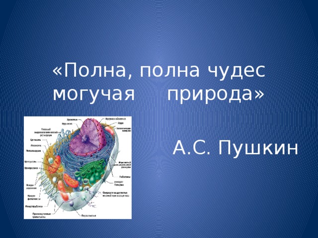 «Полна, полна чудес могучая природа» А.С. Пушкин 