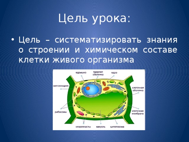 Цель урока: Цель – систематизировать знания о строении и химическом составе клетки живого организма 