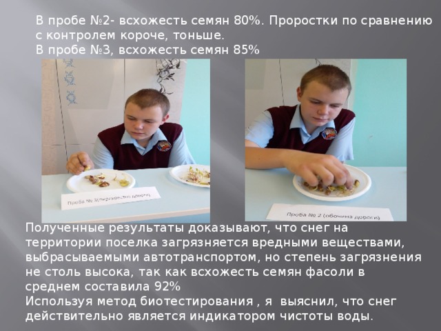 В пробе №2- всхожесть семян 80%. Проростки по сравнению с контролем короче, тоньше. В пробе №3, всхожесть семян 85% Полученные результаты доказывают, что снег на территории поселка загрязняется вредными веществами, выбрасываемыми автотранспортом, но степень загрязнения не столь высока, так как всхожесть семян фасоли в среднем составила 92% Используя метод биотестирования , я выяснил, что снег действительно является индикатором чистоты воды. 