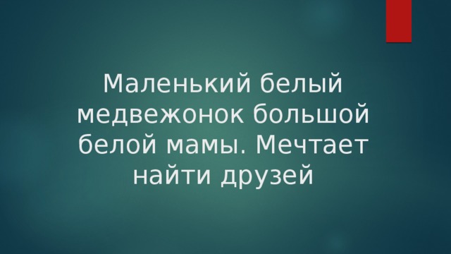 Маленький белый медвежонок большой белой мамы. Мечтает найти друзей 