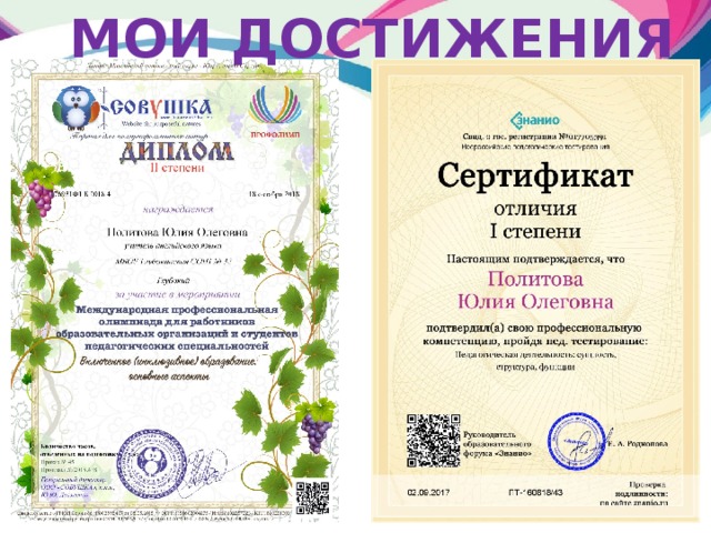 Мои достижения 