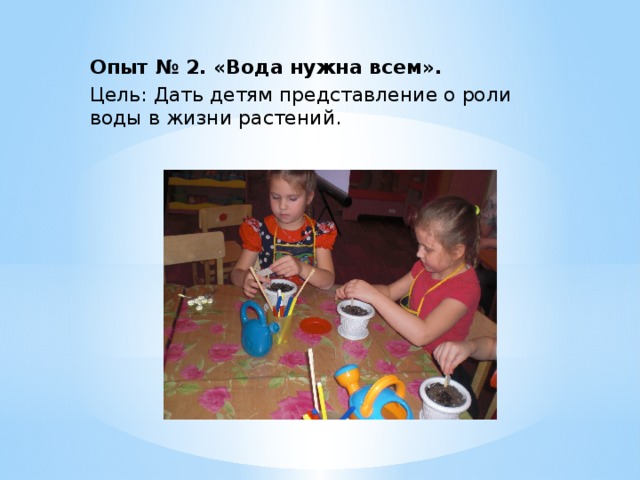 Опыт № 2. «Вода нужна всем». Цель: Дать детям представление о роли воды в жизни растений. 