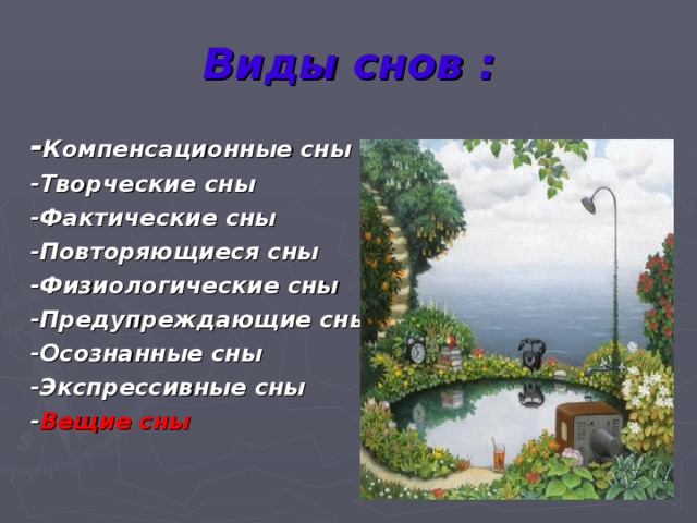 Виды снов : - Компенсационные сны -Творческие сны -Фактические сны -Повторяющиеся сны -Физиологические сны -Предупреждающие сны -Осознанные сны -Экспрессивные сны - Вещие сны 