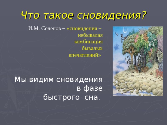 Что такое сновидения? И.М. Сеченов – «сновидения – небывалая комбинация бывалых впечатлений»  Мы видим сновидения в фазе  быстрого сна. 