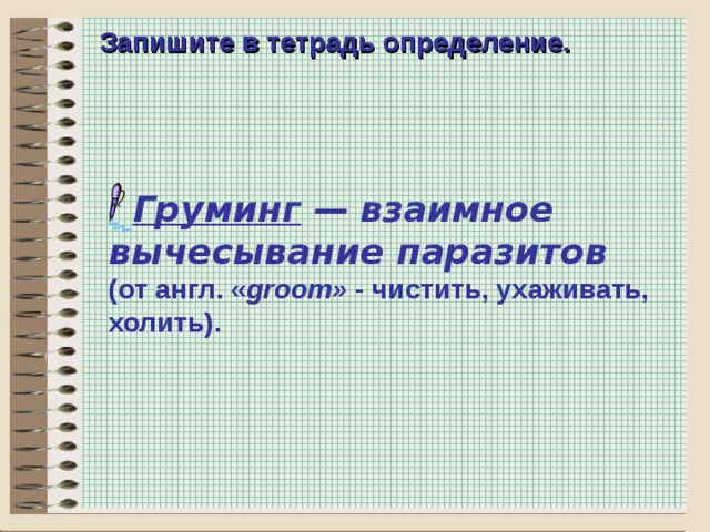 Запишите в тетрадь определение.  Груминг  —  взаимное вычесывание паразитов (от англ. « groom» - чистить, ухаживать, холить).    