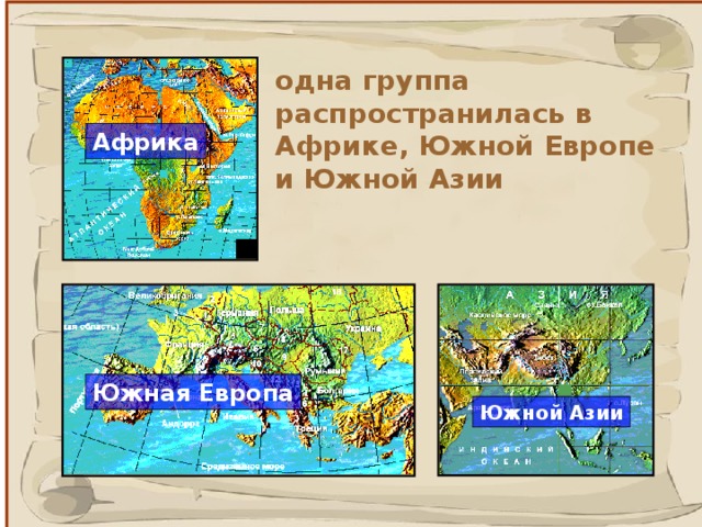 одна группа распространилась в Африке, Южной Европе и Южной Азии Африка Южная Европа Южной Азии  6 