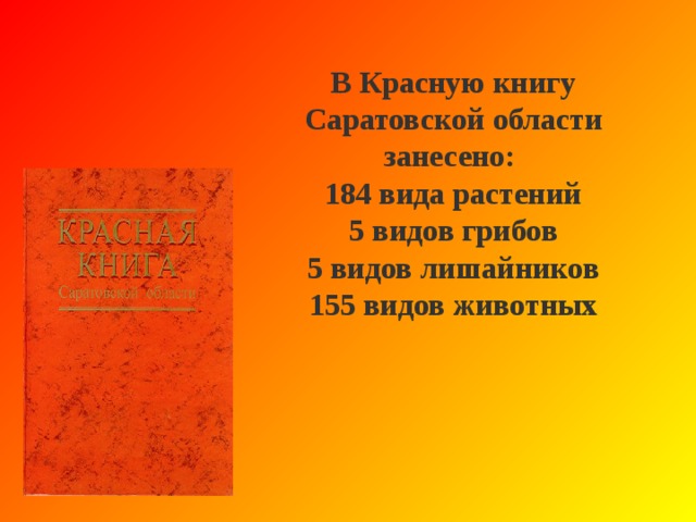 РЕДКИЕ РАСТЕНИЯ, ЗАНЕСЕННЫЕ В КРАСНУЮ КНИГУ: 
