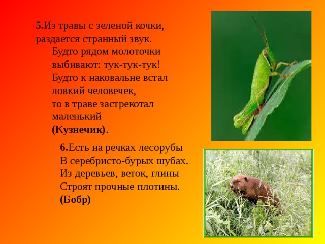 3. Хоть верь, хоть не верь;  пробегал по лесу зверь, нес на лбу он неспроста два развесистых куста. ( Олень) 3. Хоть верь, хоть не верь;  пробегал по лесу зверь, нес на лбу он неспроста два развесистых куста. ( Олень) 4 .На скале он строит дом. Разве жить на страшно в нем? Хоть кругом и красота, но такая высота! Нет хозяин не боится со скалы крутой спуститься –Два могучих крыла у хозяина (Орла) 4 .На скале он строит дом. Разве жить на страшно в нем? Хоть кругом и красота, но такая высота! Нет хозяин не боится со скалы крутой спуститься –Два могучих крыла у хозяина (Орла) 