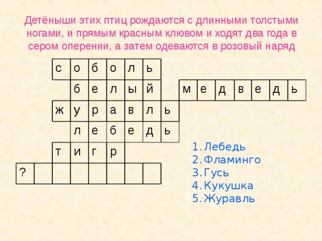 Тигр 