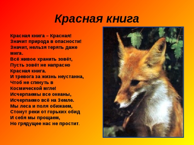 КРАСНАЯ КНИГА 