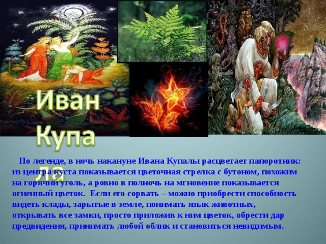  По легенде, в ночь накануне Ивана Купалы расцветает папоротник: из центра куста показывается цветочная стрелка с бутоном, похожим на горячий уголь, а ровно в полночь на мгновение показывается огненный цветок.  Если его сорвать – можно приобрести способность видеть клады, зарытые в земле, понимать язык животных, открывать все замки, просто приложив к ним цветок, обрести дар предвидения, принимать любой облик и становиться  невидимым. 