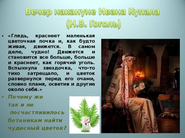 «Глядь, краснеет маленькая цветочная почка и, как будто живая, движется. В самом деле, чудно! Движется и становится все больше, больше и краснеет, как горячий уголь. Вспыхнула звездочка, что-то тихо затрещало, и цветок развернулся перед его очами, словно пламя, осветив и другие около себя.» Почему же  так и не   посчастливилось  ботаникам найти  чудесный цветок? 