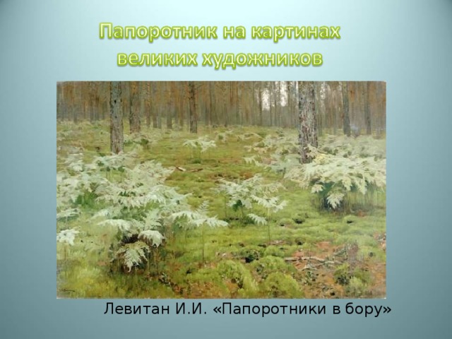 Левитан И.И. «Папоротники в бору» 