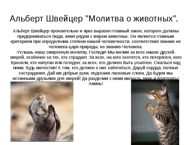 Альберт Швейцер 