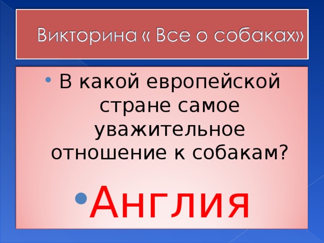 В какой европейской стране самое уважительное отношение к собакам? Англия 