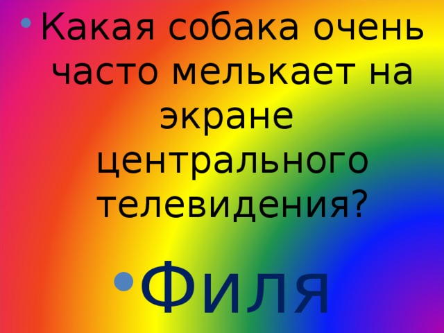 Какая собака очень часто мелькает на экране центрального телевидения? Филя 