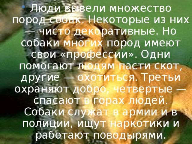 Люди вывели множество пород собак. Некоторые из них — чисто декоративные. Но собаки многих пород имеют свои «профессии». Одни помогают людям пасти скот, другие — охотиться. Третьи охраняют добро, четвертые — спасают в горах людей. Собаки служат в армии и в полиции, ищут наркотики и работают поводырями.  
