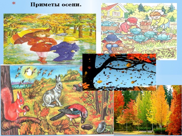 Приметы осени. 