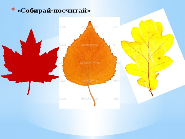«Собирай-посчитай» 