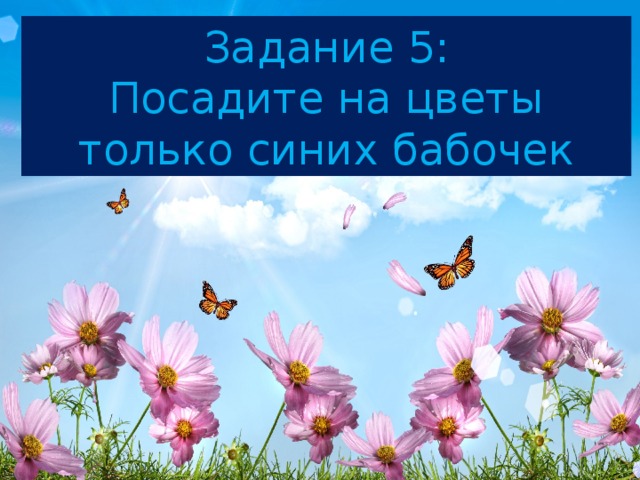 Задание 5: Посадите на цветы только синих бабочек 