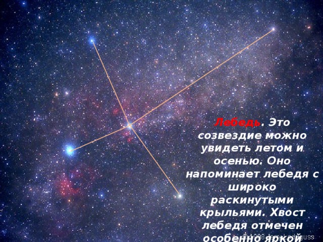 Лебедь . Это созвездие можно увидеть летом и осенью. Оно напоминает лебедя с широко раскинутыми крыльями. Хвост лебедя отмечен особенно яркой звездой – одной из самых ярких на небе. 