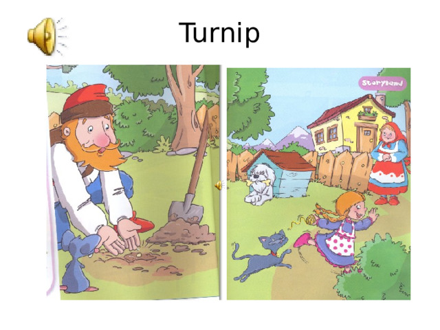 Turnip 