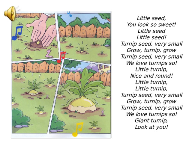 Little seed, You look so sweet! Little seed Little seed! Turnip seed, very small Grow, turnip, grow Turnip seed, very small We love turnips so! Little turnip, Nice and round! Little turnip, Little turnip, Turnip seed, very small Grow, turnip, grow Turnip seed, very small We love turnips so! Giant turnip, Look at you! 