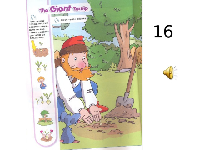 16 
