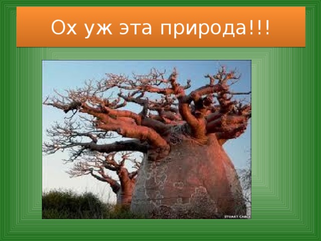 Ох уж эта природа!!!  