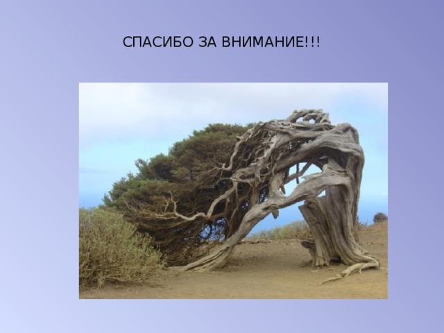  СПАСИБО ЗА ВНИМАНИЕ!!!   