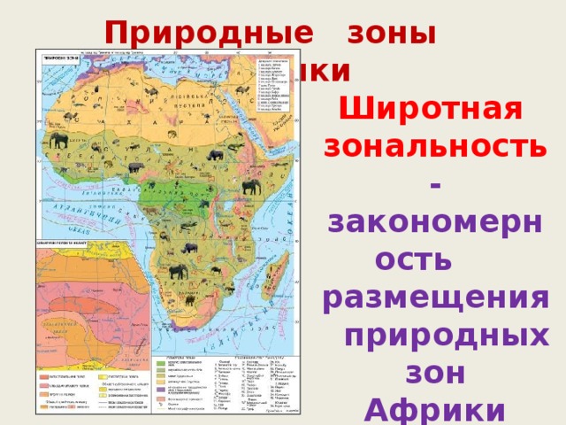 Природные зоны Африки Широтная зональность - закономерность размещения природных зон Африки 