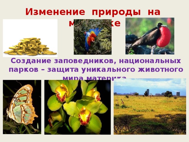 Изменение природы на материке Создание заповедников, национальных парков – защита уникального животного мира материка. 