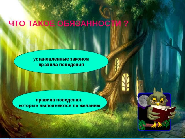 ЧТО ТАКОЕ ОБЯЗАННОСТИ ? установленные законом правила поведения правила поведения, которые выполняются по желанию 