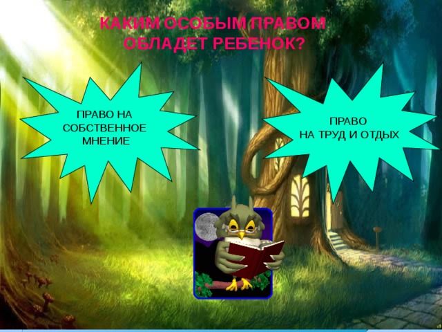 КАКИМ ОСОБЫМ ПРАВОМ ОБЛАДЕТ РЕБЕНОК? 