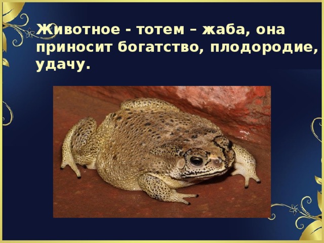 Животное - тотем – жаба, она приносит богатство, плодородие, удачу. 