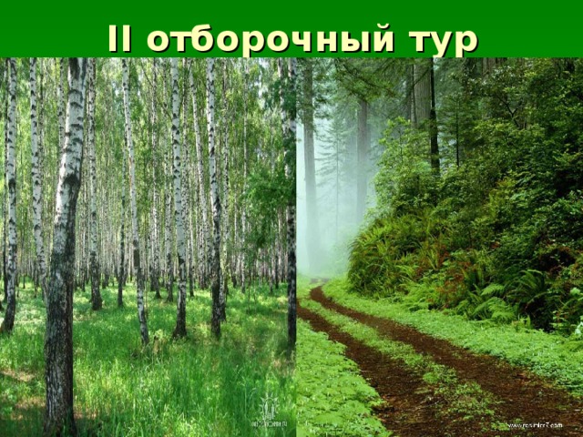 II отборочный тур 