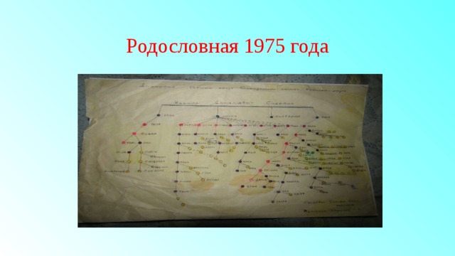 Родословная 1975 года 