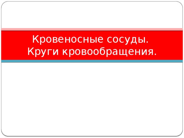Кровеносные сосуды.  Круги кровообращения.  
