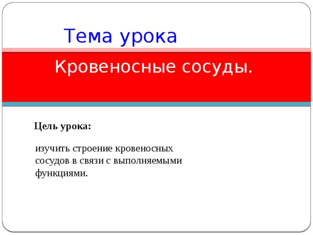 Тема урока Кровеносные сосуды.   Цель урока: изучить строение кровеносных сосудов в связи с выполняемыми функциями.  