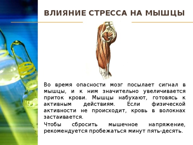 Влияние стресса на мышцы Во время опасности мозг посылает сигнал в мышцы, и к ним значительно увеличивается приток крови. Мышцы набухают, готовясь к активным действиям. Если физической активности не происходит, кровь в волокнах застаивается. Чтобы сбросить мышечное напряжение, рекомендуется пробежаться минут пять-десять.  