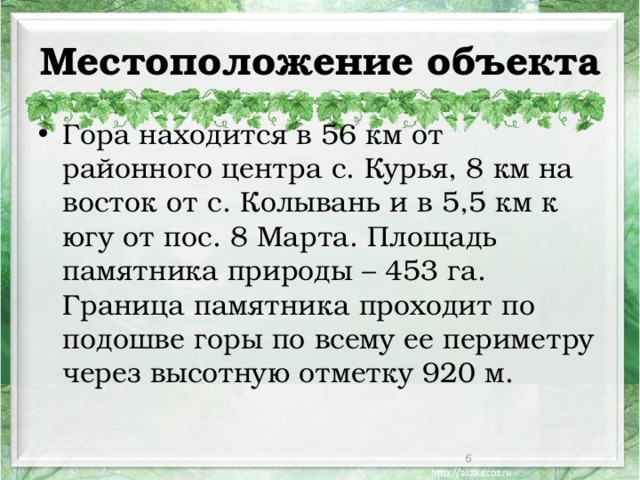 Местоположение объекта Гора находится в 56 км от районного центра с. Курья, 8 км на восток от с. Колывань и в 5,5 км к югу от пос. 8 Марта. Площадь памятника природы – 453 га. Граница памятника проходит по подошве горы по всему ее периметру через высотную отметку 920 м.  