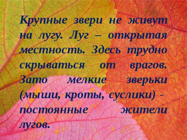 Крупные звери не живут на лугу. Луг – открытая местность. Здесь трудно скрываться от врагов. Зато мелкие зверьки (мыши, кроты, суслики) - постоянные жители лугов. 