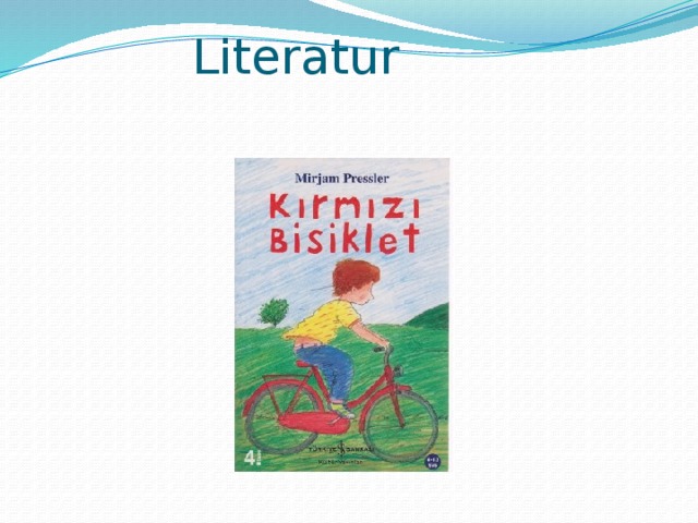  Literatur   